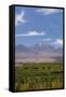 Chile, Atacama Desert, Sociare, Mountains and Fields-Walter Bibikow-Framed Stretched Canvas