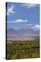 Chile, Atacama Desert, Sociare, Mountains and Fields-Walter Bibikow-Stretched Canvas