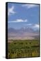 Chile, Atacama Desert, Sociare, Mountains and Fields-Walter Bibikow-Framed Stretched Canvas