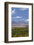 Chile, Atacama Desert, Sociare, Mountains and Fields-Walter Bibikow-Framed Photographic Print