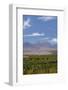 Chile, Atacama Desert, Sociare, Mountains and Fields-Walter Bibikow-Framed Photographic Print