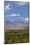 Chile, Atacama Desert, Sociare, Mountains and Fields-Walter Bibikow-Mounted Photographic Print