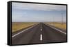 Chile, Atacama Desert, Toconao, Ruta 23 Ch Desert Highway-Walter Bibikow-Framed Stretched Canvas
