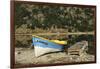 Chile, Aysen, Bertrand, baker River. Fishing boat on the shore of Lago Bertrand.-Fredrik Norrsell-Framed Photographic Print