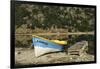 Chile, Aysen, Bertrand, baker River. Fishing boat on the shore of Lago Bertrand.-Fredrik Norrsell-Framed Photographic Print