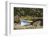 Chile, Aysen, Bertrand, baker River. Fishing boat on the shore of Lago Bertrand.-Fredrik Norrsell-Framed Photographic Print