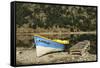 Chile, Aysen, Bertrand, baker River. Fishing boat on the shore of Lago Bertrand.-Fredrik Norrsell-Framed Stretched Canvas