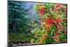 Chile, Aysen. Chilean firetree in bloom. Locally called Notro.-Fredrik Norrsell-Mounted Photographic Print