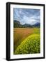 Chile, Aysen, Patagonia NP, Valle Chacabuco. Landscape with spiny Neneo plants in the foreground.-Fredrik Norrsell-Framed Photographic Print