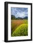 Chile, Aysen, Patagonia NP, Valle Chacabuco. Landscape with spiny Neneo plants in the foreground.-Fredrik Norrsell-Framed Photographic Print