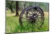 Chile, Aysen, Rio Baker. Old wooden wagon wheels.-Fredrik Norrsell-Mounted Photographic Print