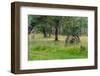 Chile, Aysen, Rio Baker. Old wooden wagon wheels.-Fredrik Norrsell-Framed Photographic Print