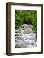 Chile, Aysen. Small mountain stream.-Fredrik Norrsell-Framed Photographic Print