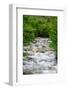 Chile, Aysen. Small mountain stream.-Fredrik Norrsell-Framed Photographic Print