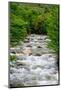 Chile, Aysen. Small mountain stream.-Fredrik Norrsell-Mounted Photographic Print