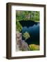 Chile, Aysen. Tree growing out of a cliff above a deep blue lake.-Fredrik Norrsell-Framed Photographic Print