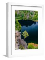 Chile, Aysen. Tree growing out of a cliff above a deep blue lake.-Fredrik Norrsell-Framed Photographic Print