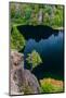 Chile, Aysen. Tree growing out of a cliff above a deep blue lake.-Fredrik Norrsell-Mounted Photographic Print