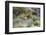 Chile, Aysen, Valle Chacabuco. Fuegian Fox in Patagonia Park.-Fredrik Norrsell-Framed Photographic Print