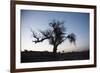 Chile, Combarbala, Tree, Sundown-Jutta Ulmer-Framed Photographic Print