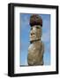 Chile, Easter Island, Hanga Nui. Rapa Nui NP, Statue with a Pukao-Cindy Miller Hopkins-Framed Photographic Print