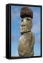 Chile, Easter Island, Hanga Nui. Rapa Nui NP, Statue with a Pukao-Cindy Miller Hopkins-Framed Stretched Canvas