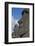 Chile, Easter Island. Rapa Nui, Historic Site of Rano Raraku. Moi Face-Cindy Miller Hopkins-Framed Photographic Print