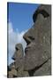 Chile, Easter Island. Rapa Nui, Historic Site of Rano Raraku. Moi Face-Cindy Miller Hopkins-Stretched Canvas