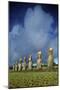 Chile, Easter Island, Rapa-Nui National Park, Ahu Akivi, Anthropomorphic 'Moai' Monoliths-null-Mounted Giclee Print