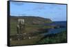 Chile, Easter Island, Rapa-Nui National Park, Ahu Ature Huki, Moai Statue and Shoreline-null-Framed Stretched Canvas