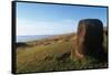 Chile, Easter Island, Rapa Nui National Park, Ahu Vinapu, Pedestal of Moai Statue on Hill-null-Framed Stretched Canvas