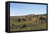 Chile, Easter Island, Rapa-Nui National Park, Ahu Vinapu, Pedestals of Moais-null-Framed Stretched Canvas