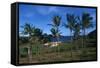 Chile, Easter Island, Rapa-Nui National Park, Anakena Bay, Ahu Nau Nau, Palm Trees and Moai Statues-null-Framed Stretched Canvas