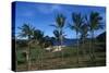 Chile, Easter Island, Rapa-Nui National Park, Anakena Bay, Ahu Nau Nau, Palm Trees and Moai Statues-null-Stretched Canvas