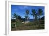 Chile, Easter Island, Rapa-Nui National Park, Anakena Bay, Ahu Nau Nau, Palm Trees and Moai Statues-null-Framed Giclee Print