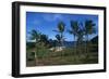 Chile, Easter Island, Rapa-Nui National Park, Anakena Bay, Ahu Nau Nau, Palm Trees and Moai Statues-null-Framed Giclee Print