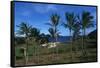 Chile, Easter Island, Rapa-Nui National Park, Anakena Bay, Ahu Nau Nau, Palm Trees and Moai Statues-null-Framed Stretched Canvas