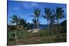 Chile, Easter Island, Rapa-Nui National Park, Anakena Bay, Ahu Nau Nau, Palm Trees and Moai Statues-null-Stretched Canvas