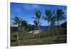 Chile, Easter Island, Rapa-Nui National Park, Anakena Bay, Ahu Nau Nau, Palm Trees and Moai Statues-null-Framed Giclee Print