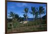 Chile, Easter Island, Rapa-Nui National Park, Anakena Bay, Ahu Nau Nau, Palm Trees and Moai Statues-null-Framed Giclee Print