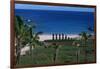 Chile, Easter Island, Rapa-Nui National Park, Anakena Bay, Ahu Nau Nau, Palm Trees and Moai Statues-null-Framed Giclee Print