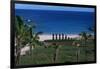 Chile, Easter Island, Rapa-Nui National Park, Anakena Bay, Ahu Nau Nau, Palm Trees and Moai Statues-null-Framed Giclee Print