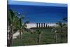 Chile, Easter Island, Rapa-Nui National Park, Anakena Bay, Ahu Nau Nau, Palm Trees and Moai Statues-null-Stretched Canvas