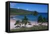 Chile, Easter Island, Rapa-Nui National Park, Anakena Bay, Tropical Beach-null-Framed Stretched Canvas
