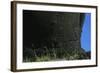 Chile, Easter Island, Rapa-Nui National Park, Anakena Beach, Ahu Nau Nau, Detail of Moai Statue-null-Framed Giclee Print