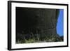 Chile, Easter Island, Rapa-Nui National Park, Anakena Beach, Ahu Nau Nau, Detail of Moai Statue-null-Framed Giclee Print