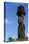 Chile, Easter Island, Rapa-Nui National Park, Anakena Beach, Ahu Nau Nau, Moai Statue-null-Stretched Canvas