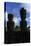 Chile, Easter Island, Rapa-Nui National Park, Anakena Beach, Ahu Nau Nau, Moai Statues, Rear View-null-Stretched Canvas