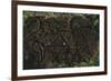 Chile, Easter Island, Rapa-Nui National Park, East Coast Papa Vaka Location, Petroglyphs-null-Framed Giclee Print