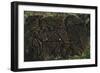 Chile, Easter Island, Rapa-Nui National Park, East Coast Papa Vaka Location, Petroglyphs-null-Framed Giclee Print